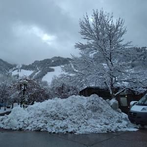 Meet your Posher, Salvador